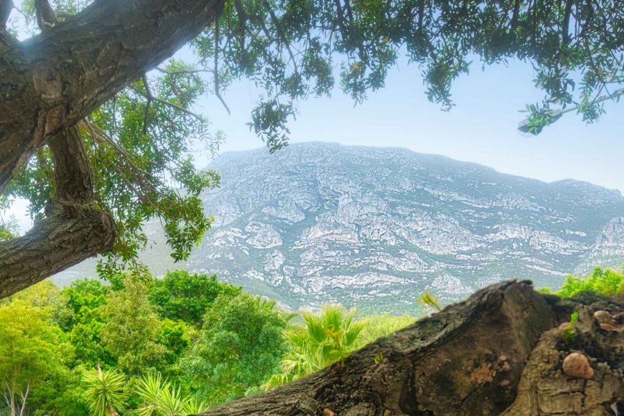 3 Bedroom Property for Sale in Voelklip Western Cape